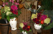 Thornhill Market Florist, floral arrangements, hand tied bouquets, wedding and corporate florals, plants, floral design seminars, weekly flowers in Thornhill and Toronto