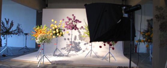 Thornhill Florist Photography Props & Photo Shoot Ideas