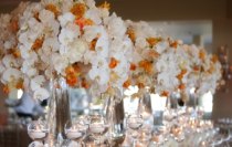 Thornhill Market Florist Wedding Inspirations, flower arrangements, hand tied bouquets, wedding and corporate florals, plants, floral design seminars, flowers in Thornhill and Toronto