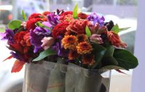 Thornhill Florist Weekly Flowers for Home and Office